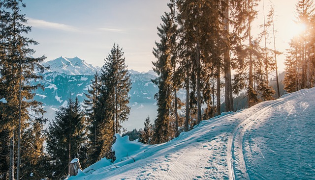 Destinos para amantes del deporte de invierno: Esquí y snowboard en pistas famosas